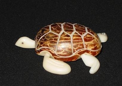 Sea Turtle