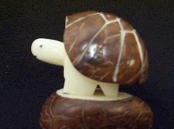 Box Turtle (dark)