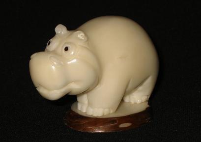 Hippopotamus