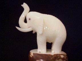 Elephant (trumpeting)