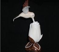 Hummingbird and Rose