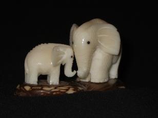 Elephant Family