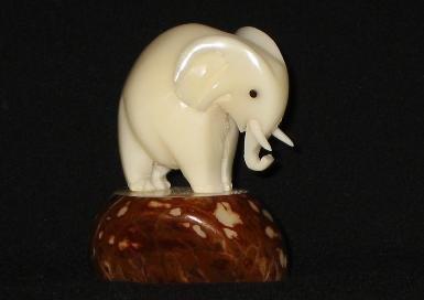 Elephant #2