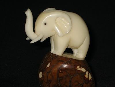 Elephant trumpeting #2