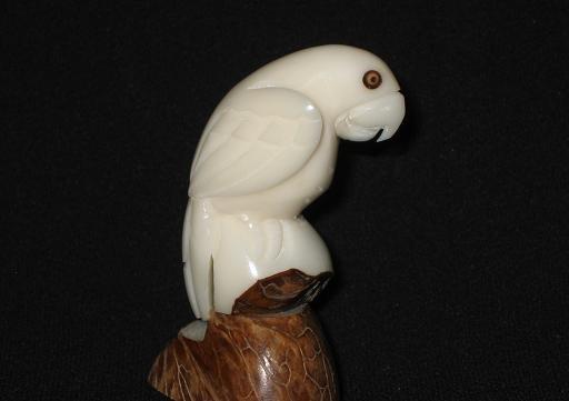 Parrot (small)