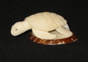 Sea Turtle #4