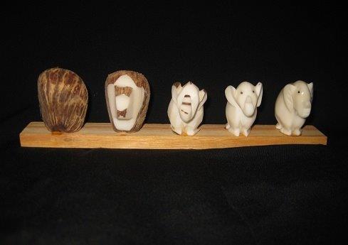 Elephant Progression