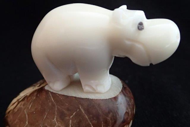 Hippopotamus (small)