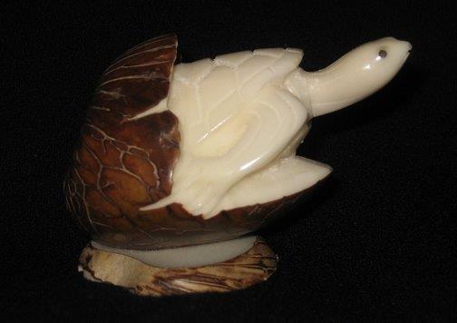 Turtle Hatching (dark shell)