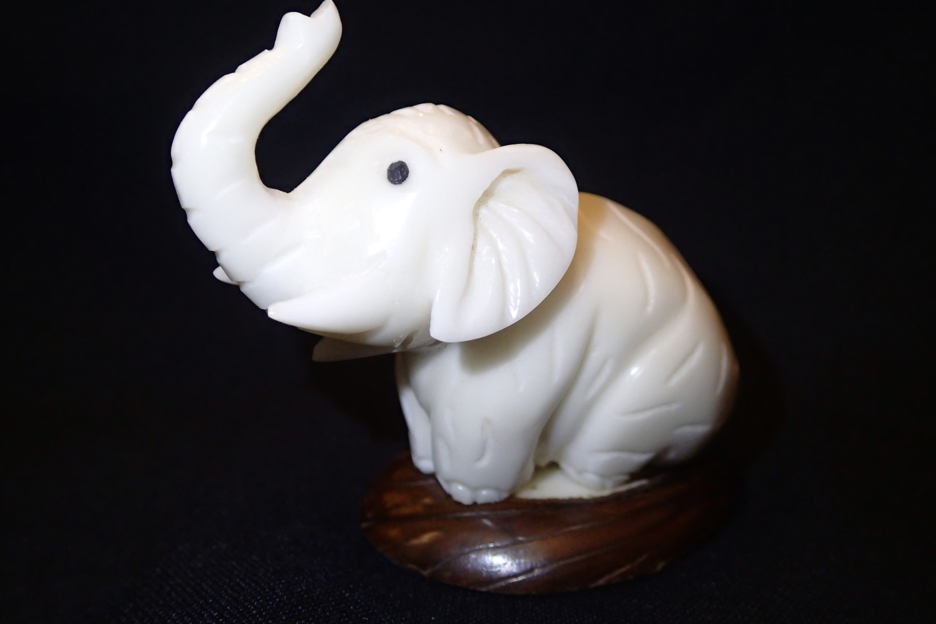 Elephant (sitting)