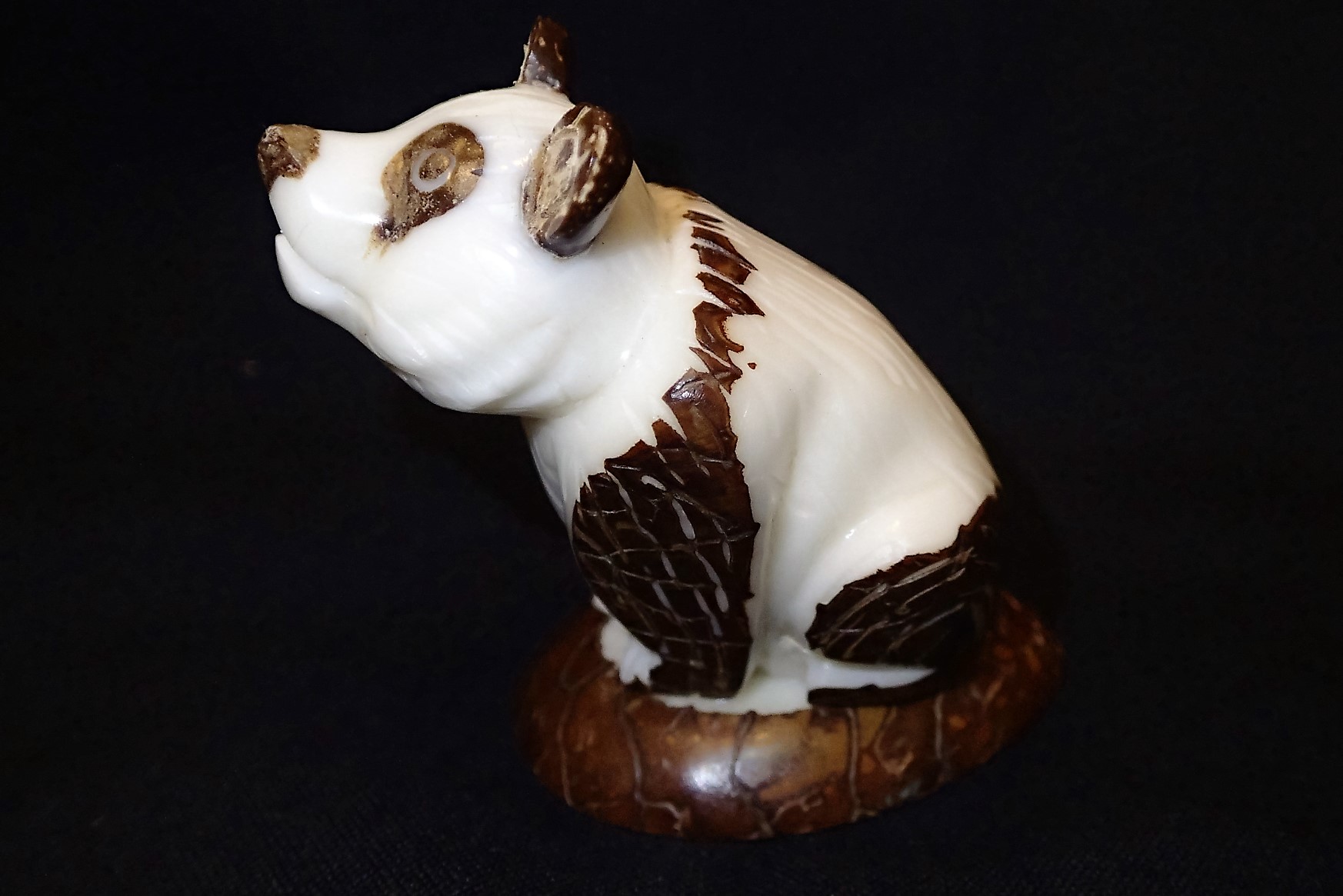 Panda (sitting)