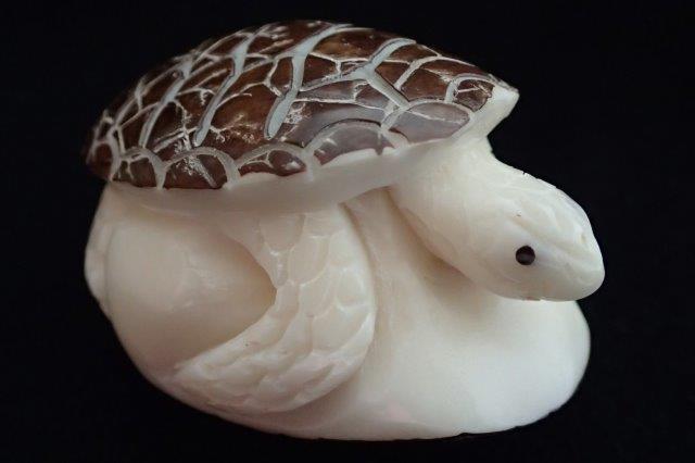 Sea Turtle in Tagua Nut