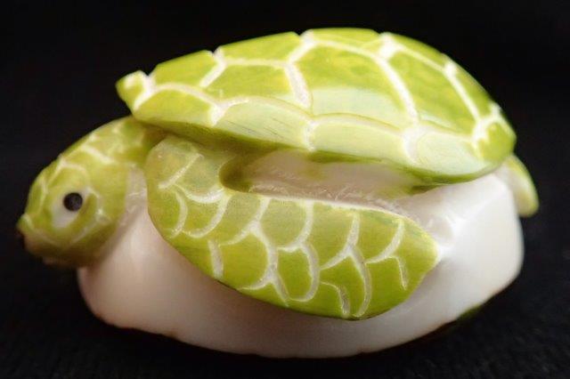 Sea Turtle-GREEN