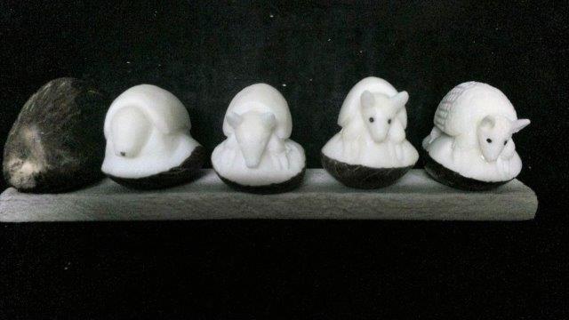 Armadillo Progression