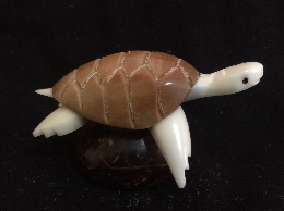 Sea Turtle (small, brown shell)