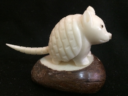 Armadillo #3