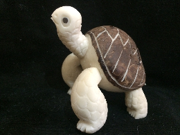 Galapagos Turtle (rustic)