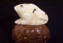 Spotted Frog