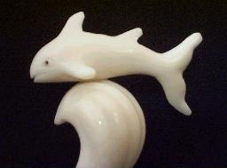 Shark (small)