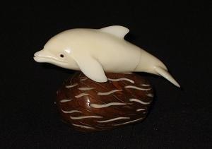Dolphin #5