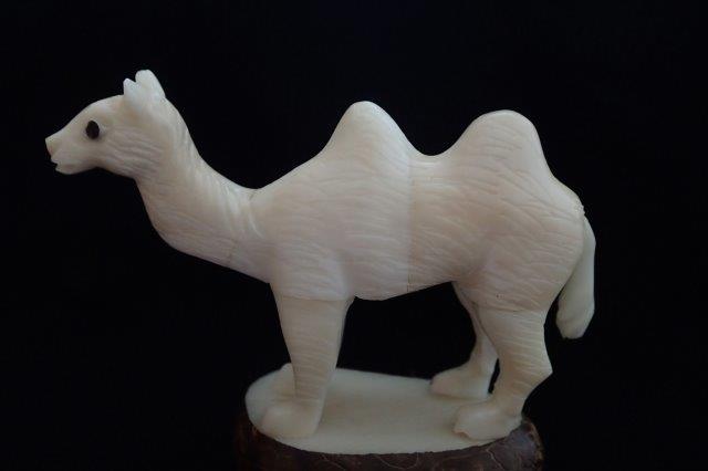 Camel (Bactrian - two humps) #2