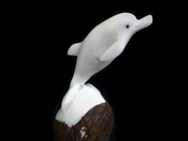 Dolphin #7
